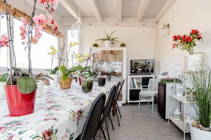 Il Piccolo Attico Bed & Breakfast Caltagirone Dış mekan fotoğraf
